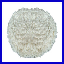 แผ่นผ้าบอนเนต